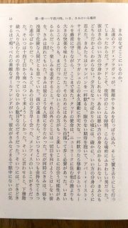 新潮文庫 ジェイ・マキナニー「ブライト・ライツ、ビッグ・シティ」高橋源一郎／訳　本文3_[0]