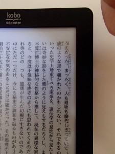 黒死館殺人事件　koboバグ？